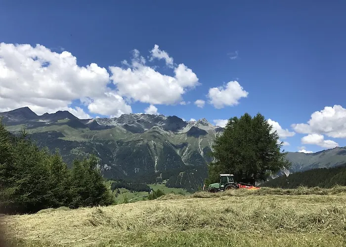 Vakantieboerderij Bauernhof ,,becka Hof''