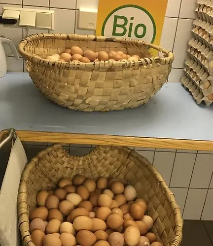 Bauernhof ,,becka Hof'' Vakantieboerderij *