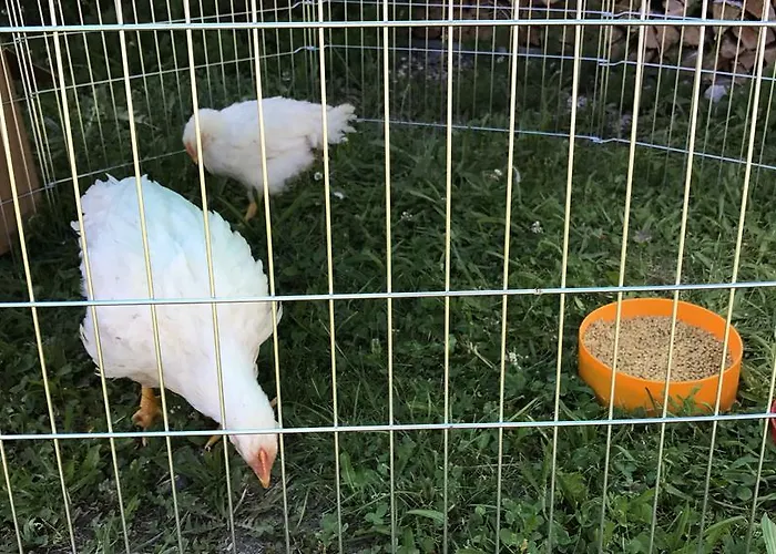 Bauernhof ,,becka Hof''