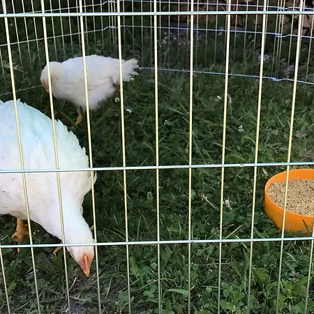 Bauernhof ,,becka Hof''